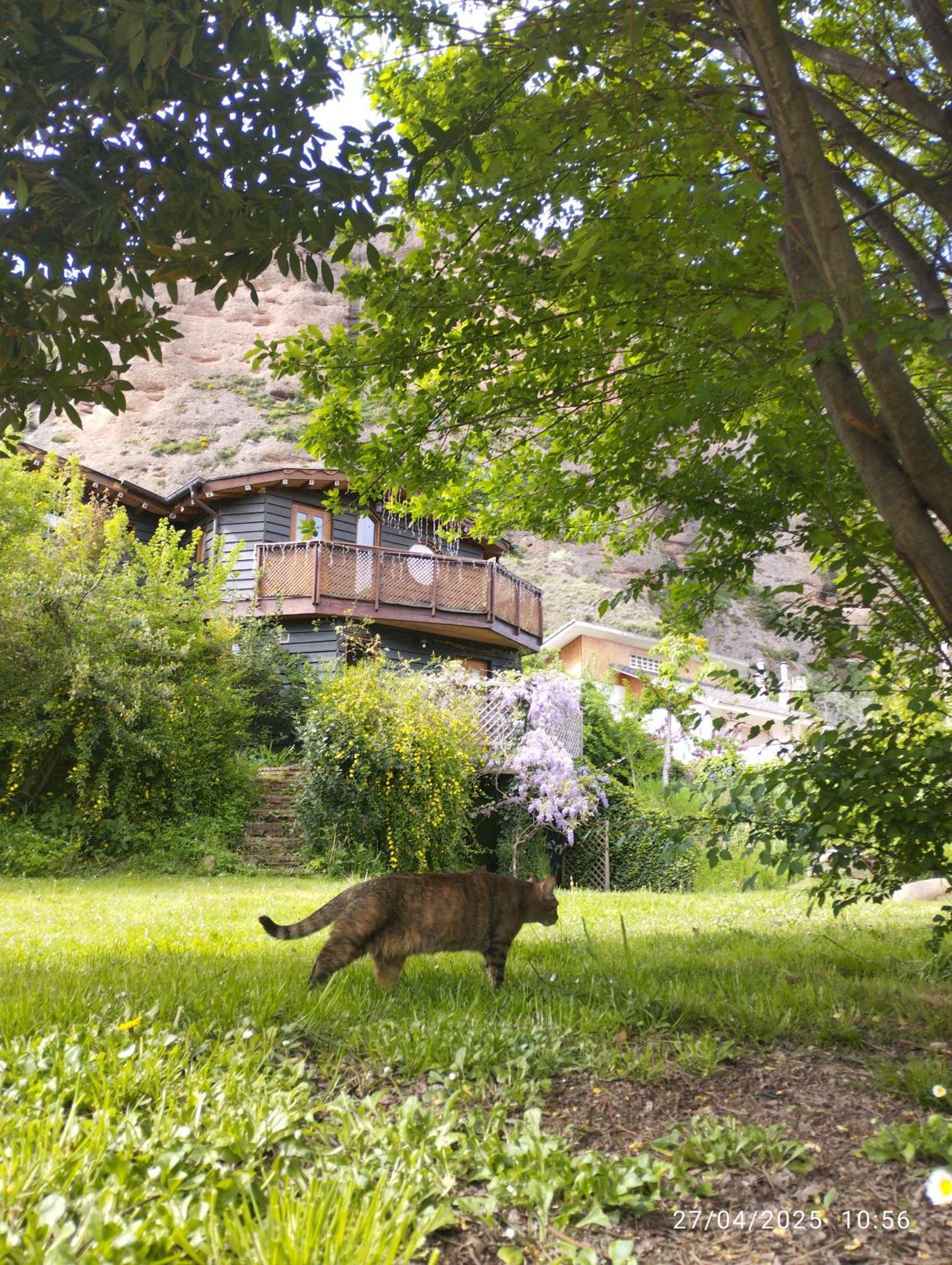 La Casa Verde Islallana Exterior foto